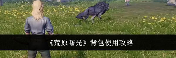 《荒原曙光》背包使用攻略