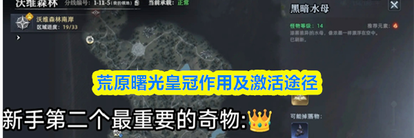 荒原曙光皇冠作用及激活途径