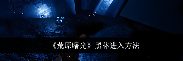 《荒原曙光》黑林进入方法