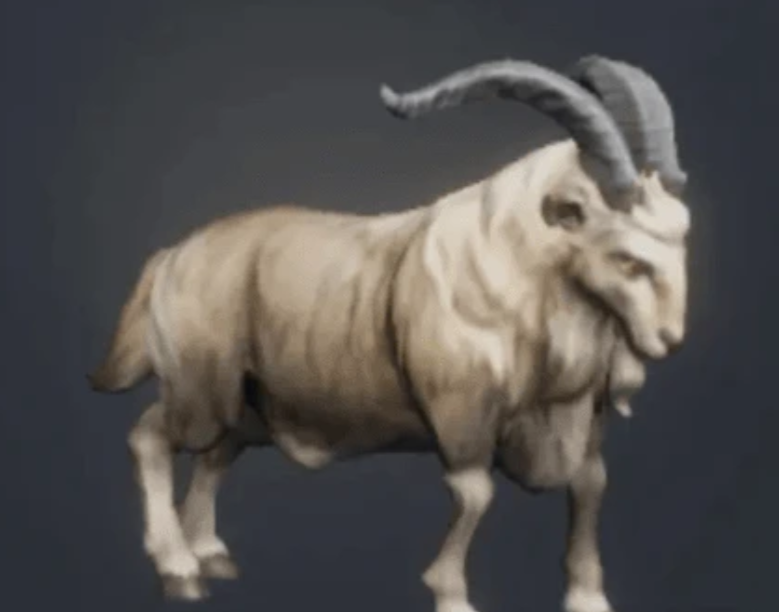 《荒原曙光》开荒宠物推荐