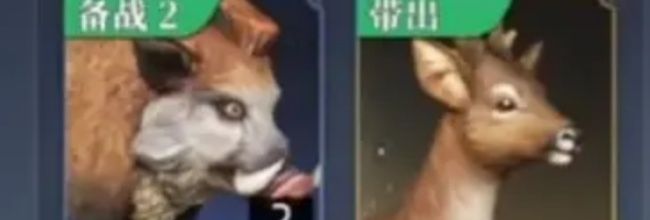 《荒原曙光》开荒宠物推荐