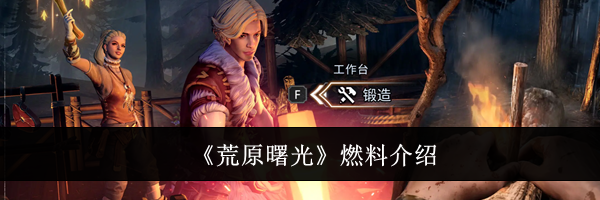 《荒原曙光》燃料介绍