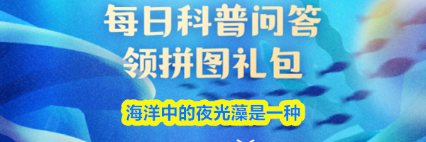 海洋中的夜光藻是一种