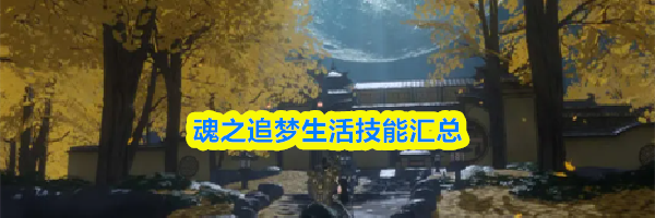 魂之追梦生活技能汇总