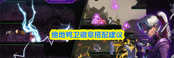 绝地鸭卫徽章搭配建议