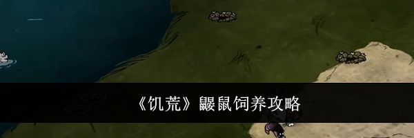 《饥荒》鼹鼠饲养攻略