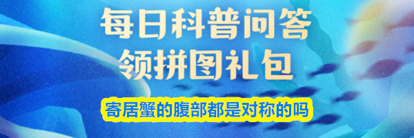 寄居蟹的腹部都是对称的吗