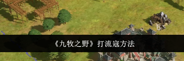 《九牧之野》打流寇方法