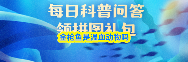 金枪鱼是温血动物吗