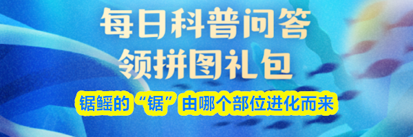 锯鳐的&ldquo;锯&rdquo;由哪个部位进化而来