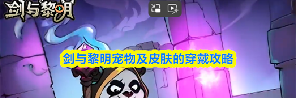 剑与黎明宠物及皮肤的穿戴攻略