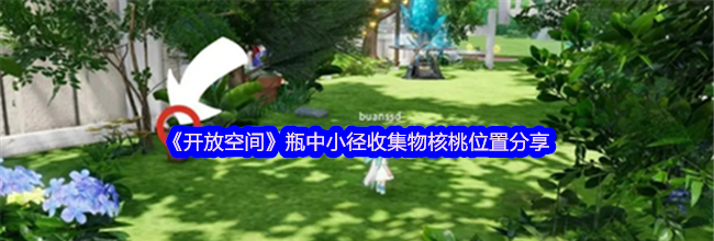 《开放空间》瓶中小径收集物核桃位置分享