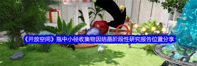 《开放空间》瓶中小径收集物因结晶阶段性研究报告位置分享