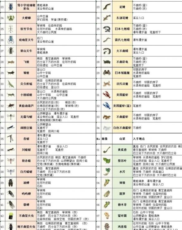 《蜡笔小新：煤炭镇的小白》螳螂捕捉攻略