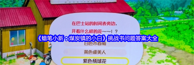《蜡笔小新：煤炭镇的小白》挑战书问题答案大全