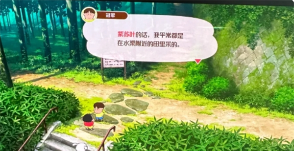 《蜡笔小新：煤炭镇的小白》紫苏叶获取方法