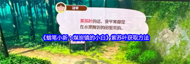 《蜡笔小新：煤炭镇的小白》紫苏叶获取方法