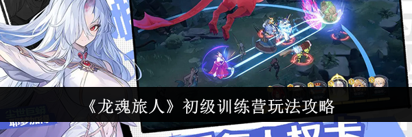 《龙魂旅人》初级训练营玩法攻略