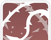 龙魂旅人腐败花蕾技能详情