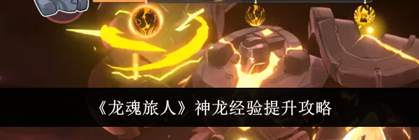 《龙魂旅人》神龙经验提升攻略