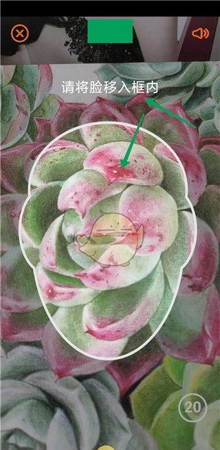 《老来》认证养老保险方法