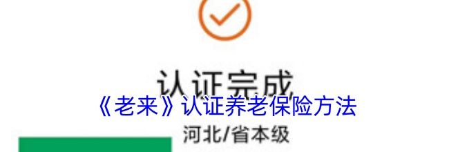 《老来》认证养老保险方法