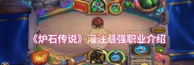 《炉石传说》灌注最强职业介绍