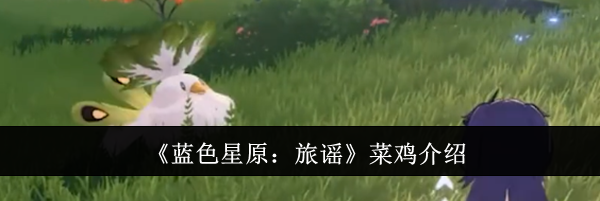 《蓝色星原：旅谣》菜鸡介绍