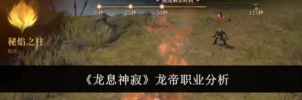 《龙息神寂》龙帝职业分析