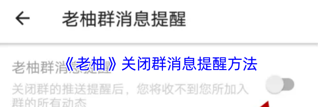 《老柚》关闭群消息提醒方法