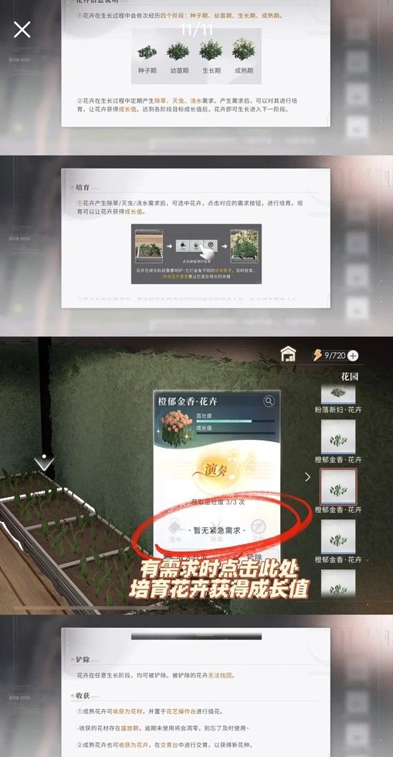 《恋与深空》家园与他一起朝夕相伴任务攻略