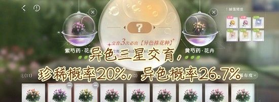 《恋与深空》全新家园懒人法培育花攻略