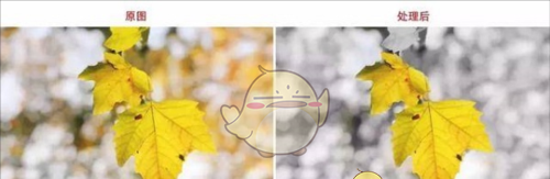 《绿叶修图》蒙版工具教程