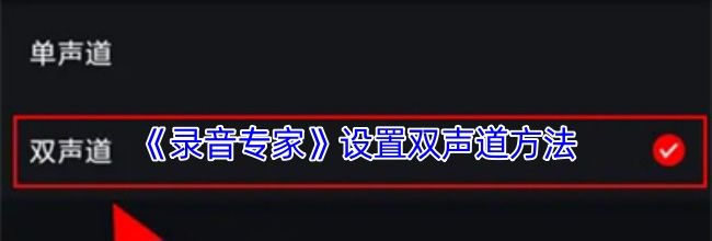 《录音专家》设置双声道方法