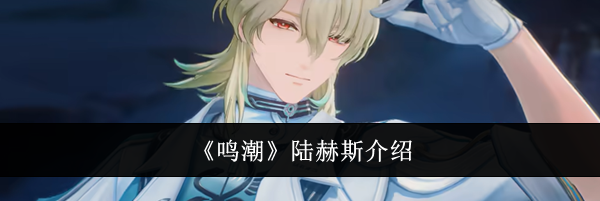 《鸣潮》陆赫斯介绍