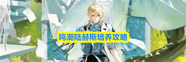 鸣潮陆赫斯培养攻略