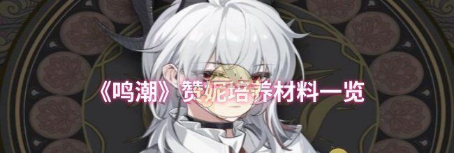 《鸣潮》赞妮培养材料一览