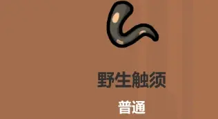 魔法工艺遗物选择推荐