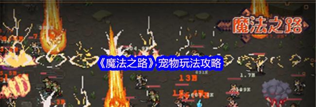 《魔法之路》宠物玩法攻略