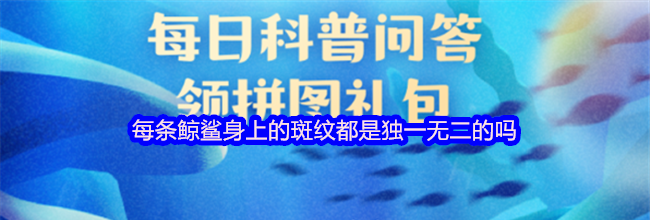 每条鲸鲨身上的斑纹都是独一无二的吗