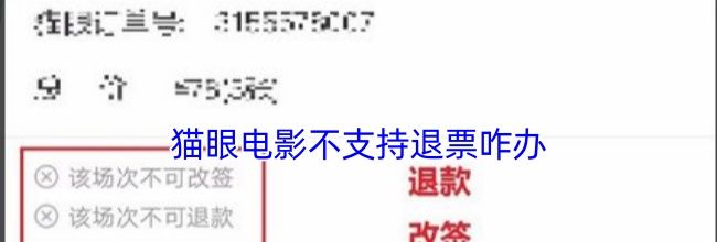猫眼电影不支持退票咋办