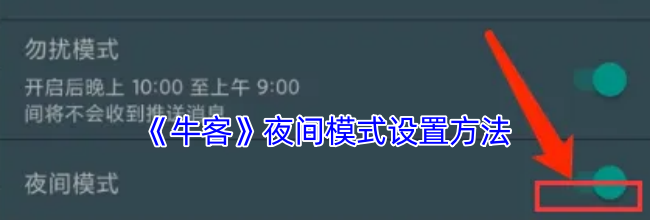 《牛客》夜间模式设置方法