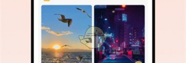 柠萌壁纸app使用教程