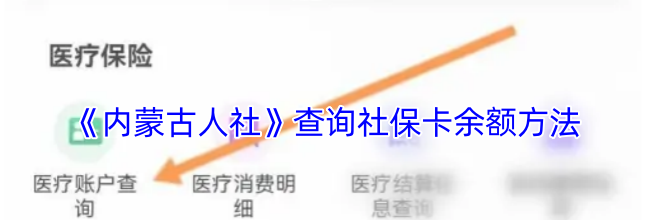 《内蒙古人社》查询社保卡余额方法