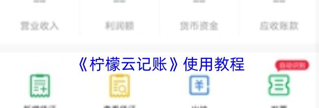 《柠檬云记账》使用教程
