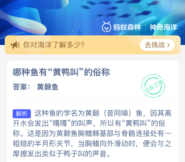 哪种鱼有黄鸭叫的俗称