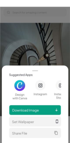 《pexels》下载图片方法