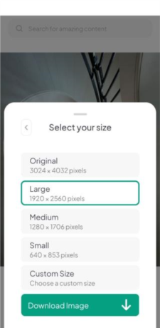《pexels》下载图片方法