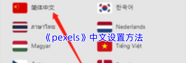 《pexels》中文设置方法