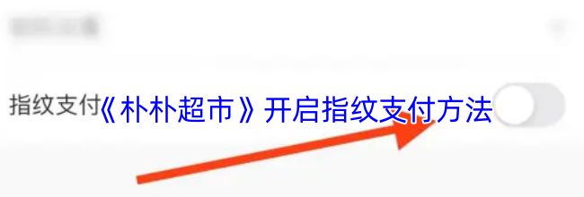 《朴朴超市》开启指纹支付方法